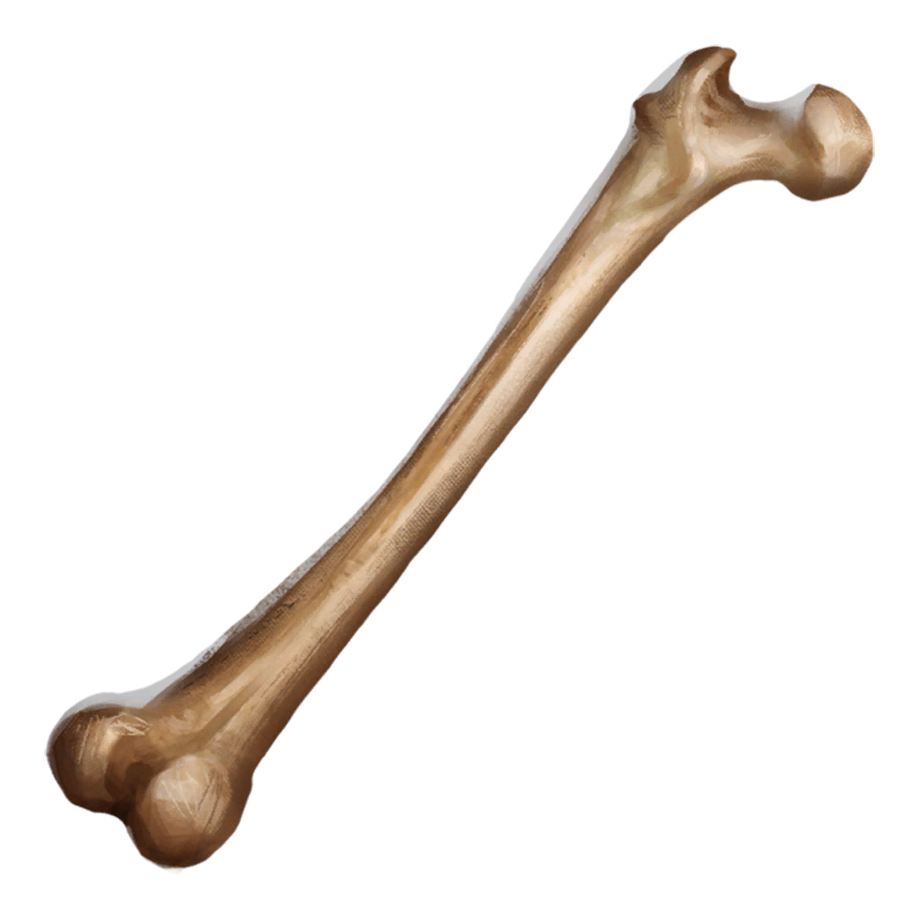 Bone of the Lost One